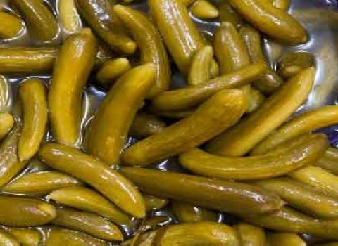 تصویر 5 از قیمت خرید خیار شور اعلاء + فروش ویژه